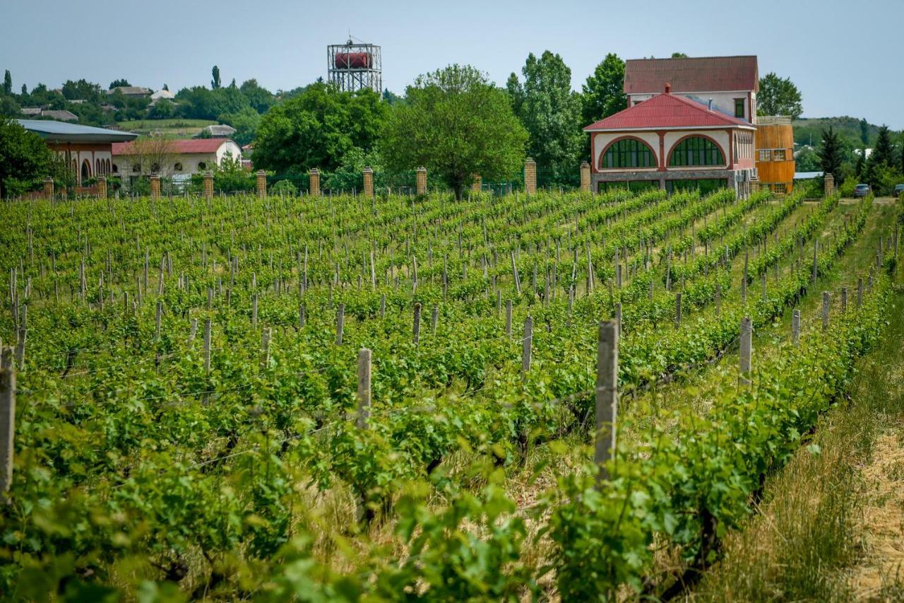 Chabiant Guesthouse Chateau Monolit Ikinci Yeniyol ภายนอก รูปภาพ